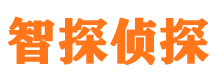 大关市私人侦探